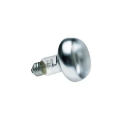 Ampoule chauffante Zoo Med - 40W