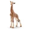 Bébé girafe h6.8 - SCHLEICH