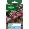 Betterave rouge Vilmorin d'Egypte