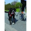 Biker-set pour grands chiens - TRIXIE