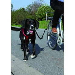 Biker-set pour grands chiens - TRIXIE
