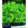 Bordure selfix h13cm-5m caoutchouc recyclé noir - NORTENE