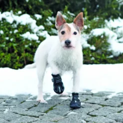 Bottes de protection Walker active S–M-2pcs noir - TRIXIE