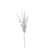 Branche eucalyptus 15x70-H4 argent - EDELMAN