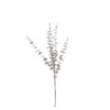 Branche eucalyptus 15x70-H4 champagne - EDELMAN