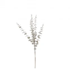Branche eucalyptus 15x70-H4 champagne - EDELMAN