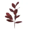 Branche magnolia 38x100-H5 bordeaux - EDELMAN