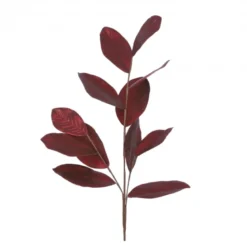 Branche magnolia 38x100-H5 bordeaux - EDELMAN