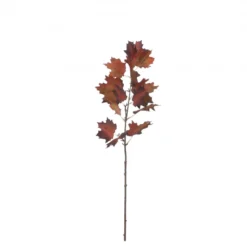 Branche érable 20x90-H4 marron foncé - EDELMAN