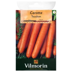 Carotte Touchon