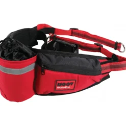 Ceinture jogging moov - ZOLUX