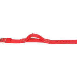 Collier nylon poignee t60 - ZOLUX
