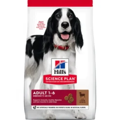 Croquettes pour chien à l'agneau et riz 2.5KG - HILL'S