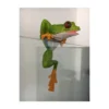 Décor d'aquarium à poser - grenouille