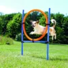 Dog activity anneau agility 115xø3cm.ø65cm bleu/ - TRIXIE