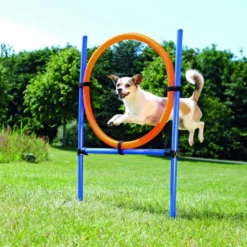 Dog activity anneau agility 115xø3cm.ø65cm bleu/ - TRIXIE