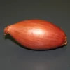Echalote "Longor" 250g - Calibre 15/35