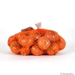 Echalote "Red Sun" 500g - Calibre 7/15