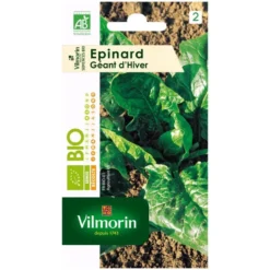 Epinards géantsbio d'hiver