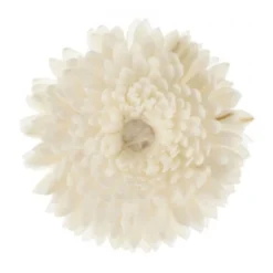 Fleur de Goatier gm christen - GOA