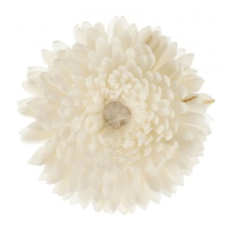 Fleur de Goatier gm christen - GOA