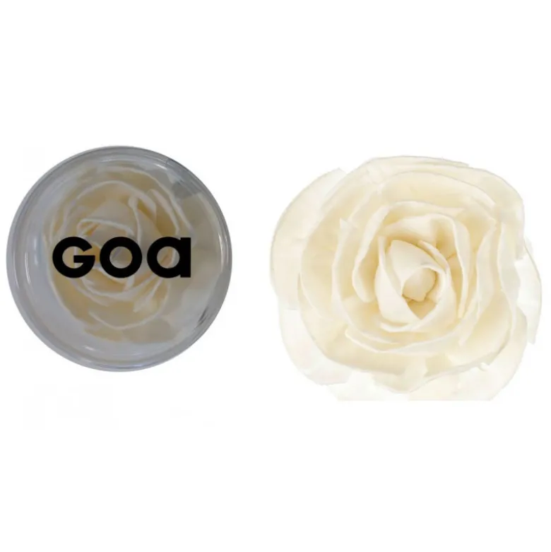 Fleur de Goatier gm rosea- GOA