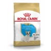 French Bulldog junior breed health nutrition 10k - ROYAL CANIN