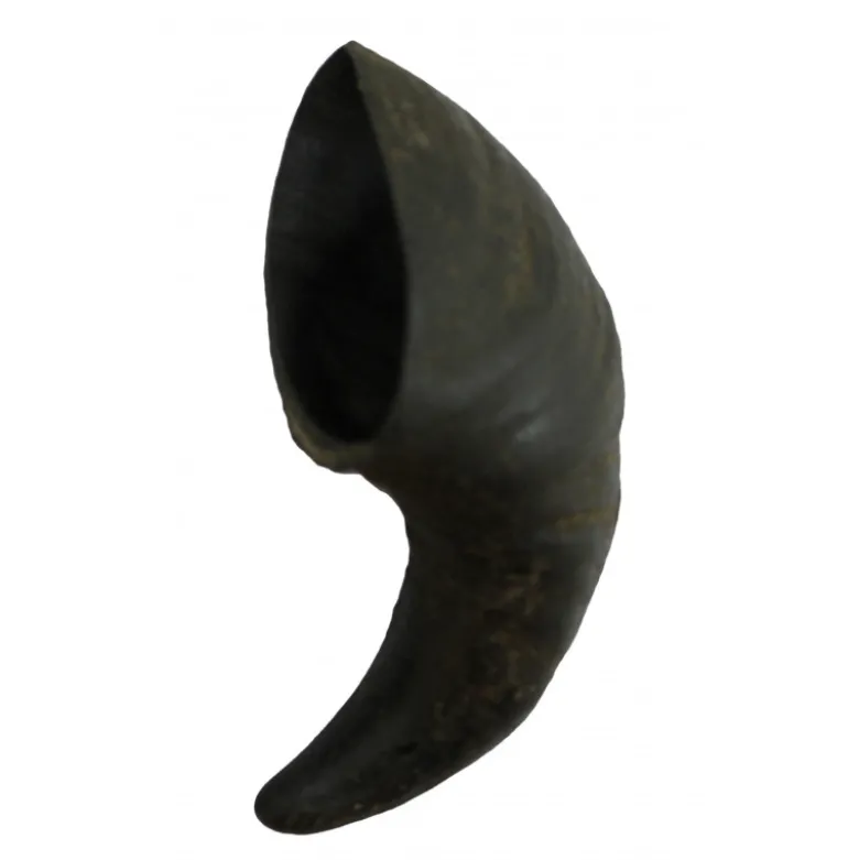 Friandise corne de Buffle S - BUBIMEX