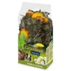 Friandise grainless Camomille-pissenlits 100g - JR FARM