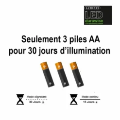 Guirlande lumineuse 