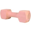 Haltère bois de traction carrée env. 650g 25cm - TRIXIE