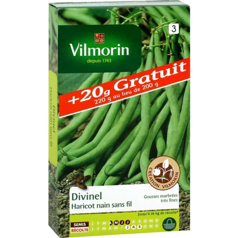 Haricot nain "Divinel" - 200g + 20g gratuits