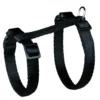 Harnais chat avec laisse 27–45cm/10mm-1.20m nylo - TRIXIE