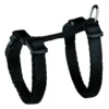 Harnais chaton avec laisse 19–31cm/8mm-1.20m nyl - TRIXIE