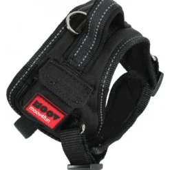 Harnais conf reglable xs moov noir - ZOLUX