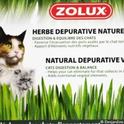 Herbe a chat - ZOLUX