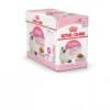 Humide chat Kitten gelée FHN wet 12x85g - ROYAL CANIN