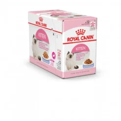 Humide chat Kitten gelée FHN wet 12x85g - ROYAL CANIN