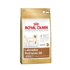 Labrador Adult breed health nutrition 12kg - ROYAL CANIN