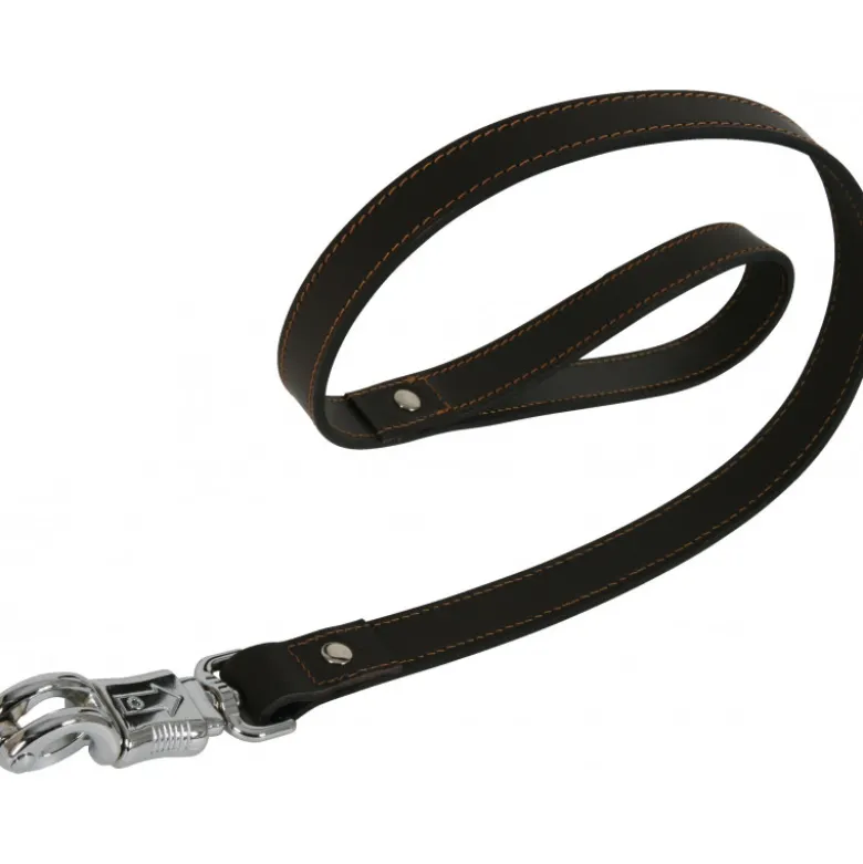 Laisse cuir panique 120cm marron - ZOLUX