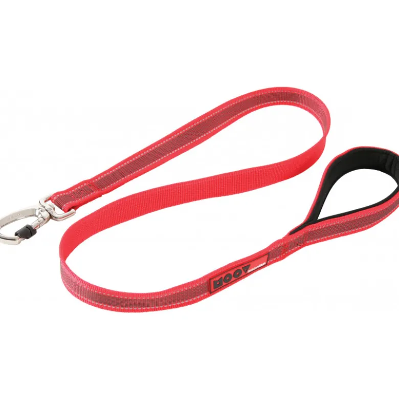 Laisse moov 20mm - ZOLUX