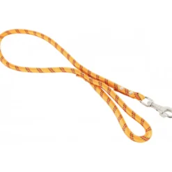 Laisse nylon corde orange - ZOLUX