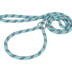 Laisse nylon lasso bleu turquoise - ZOLUX