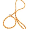 Laisse nylon lasso orange - ZOLUX