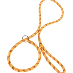 Laisse nylon lasso orange - ZOLUX