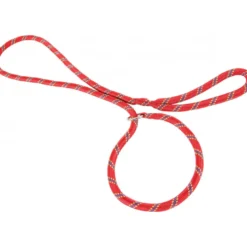 Laisse nylon lasso rouge - ZOLUX