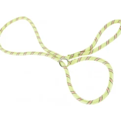 Laisse nylon lasso vert anis - ZOLUX