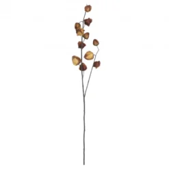 Lanterne chinois 12x94-H4 marron - EDELMAN