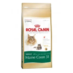 Maine Coon Adult féline breed nutrition 4kg - ROYAL CANIN