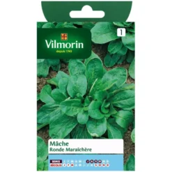 Mâche ronde Vilmorin maraîchère - petit sachet